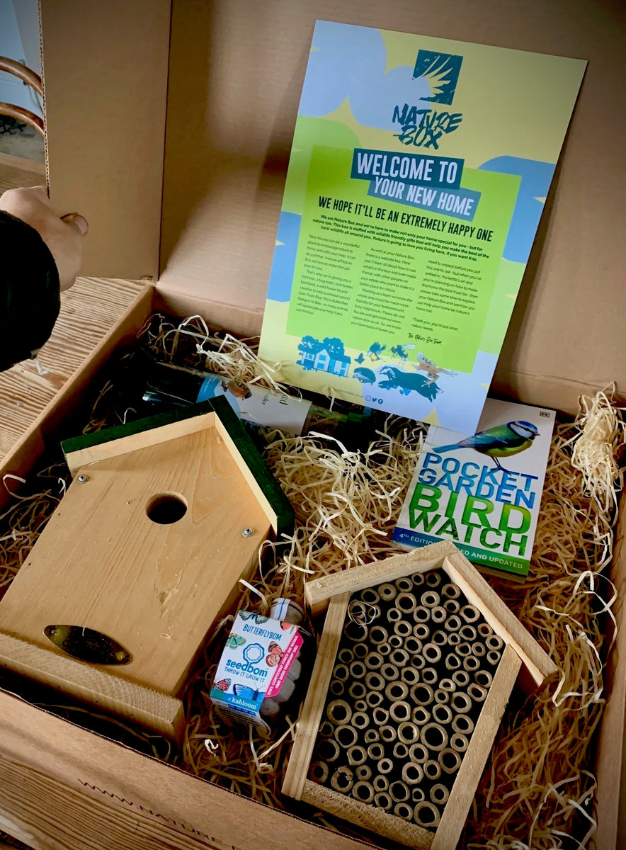 Naturewalk Box Nature Box – Nature Box UK